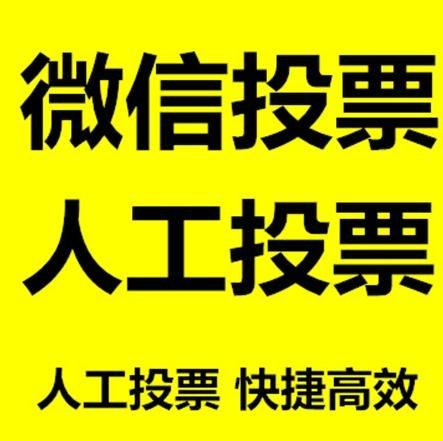 舟山群岛新区微信刷票怎么投票